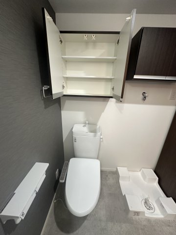 ベイルームグラシア海老名203号室 トイレ