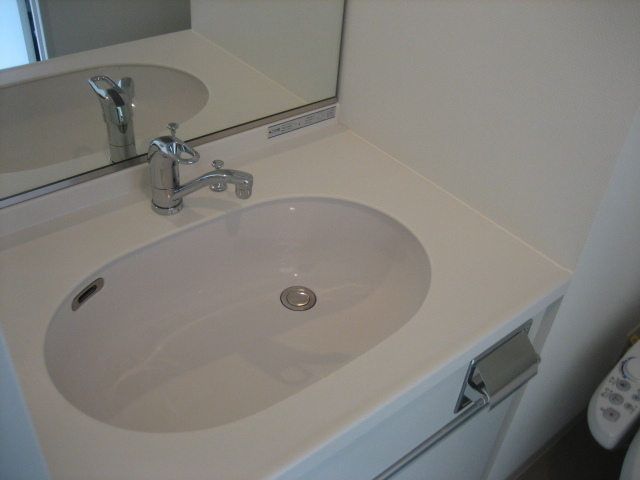 プリモ・レガーロ西大島0803号室 洗面所