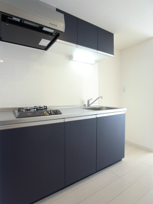 リブリ・アルバMU キッチン