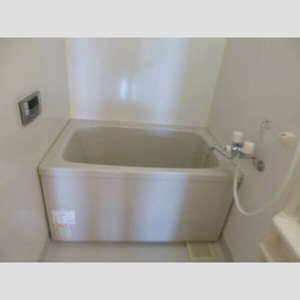 メゾン・ルミエール 202 浴室