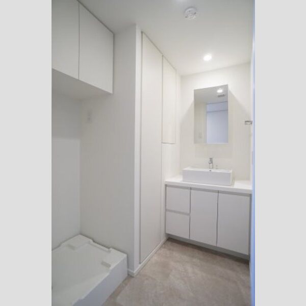 プライムメゾン森下WEST307号室 独立洗面台