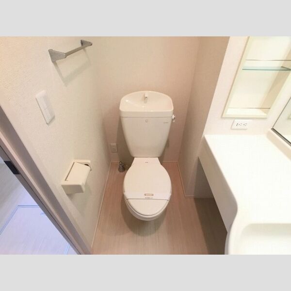 ゴールドヒルズ107号室 トイレ