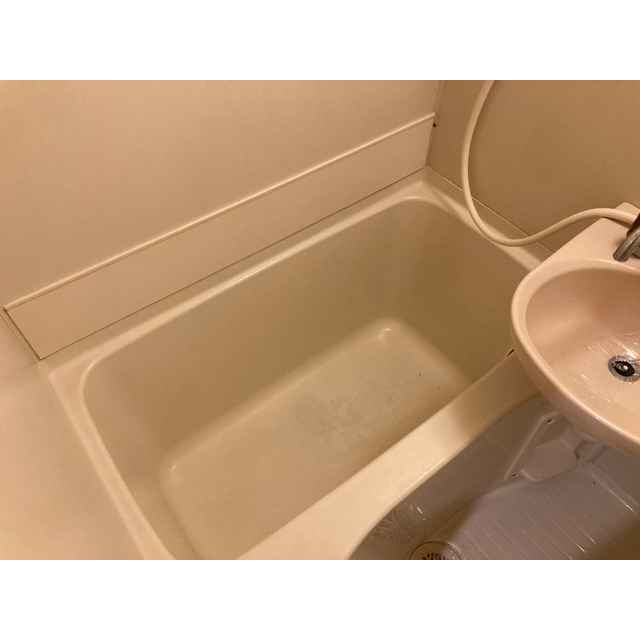 ブラウン第3101号室 お風呂