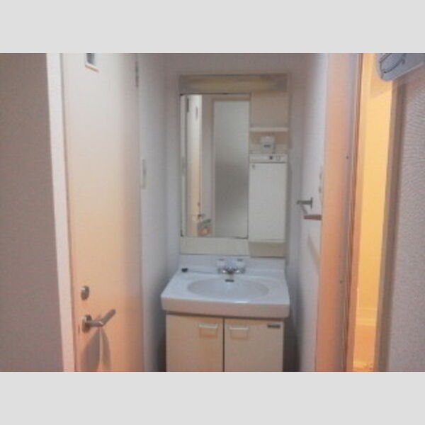 奥田ビル 奥田ビル202洗面化粧台