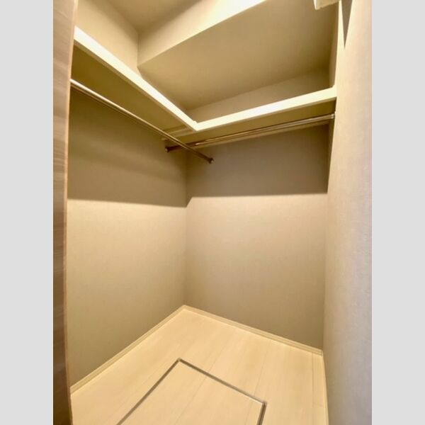 桜DKハイム103号室 ウォークインクローゼット