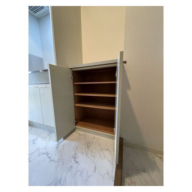 スペーシア池上0509号室 シューズボックス