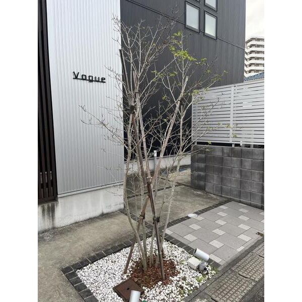 Vogue206号室 部屋その他