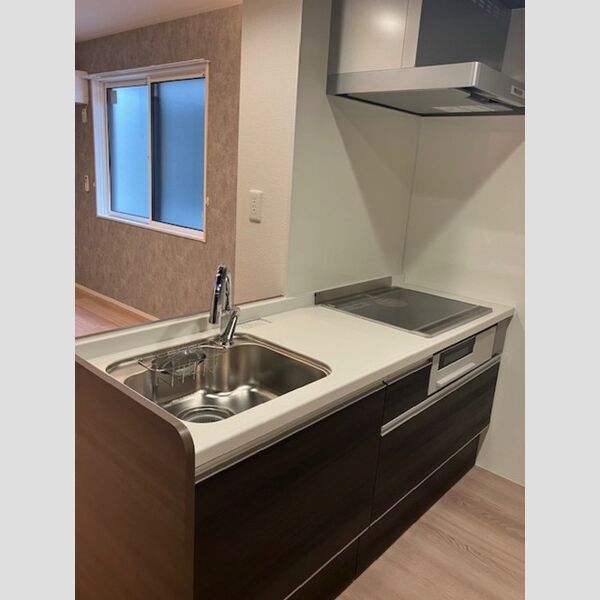 ノーブルラフィネ白幡201号室 システムキッチン