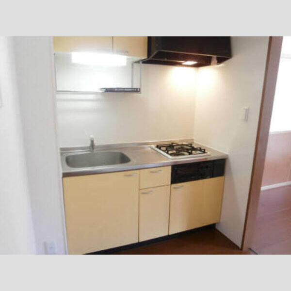 モナリエ中浦和202号室 システムキッチン