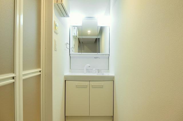 ・ラヴィエール錦糸公園5階 洗面所