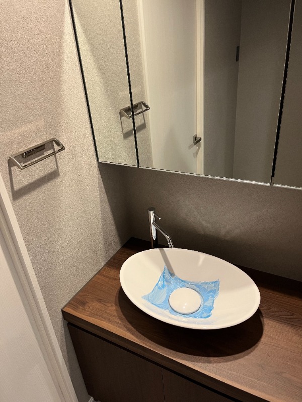 レジディア文京音羽7階 洗面