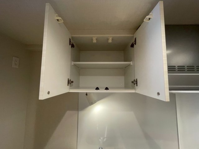 DIPS大山東町2 収納