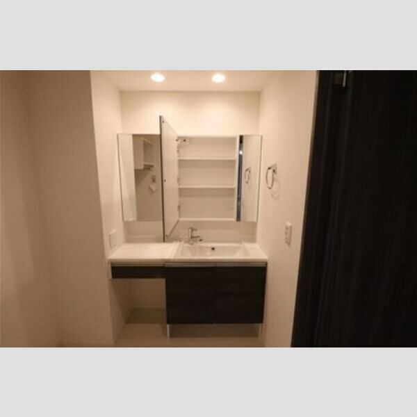 D-room畑沢B106号室 洗髪洗面化粧台