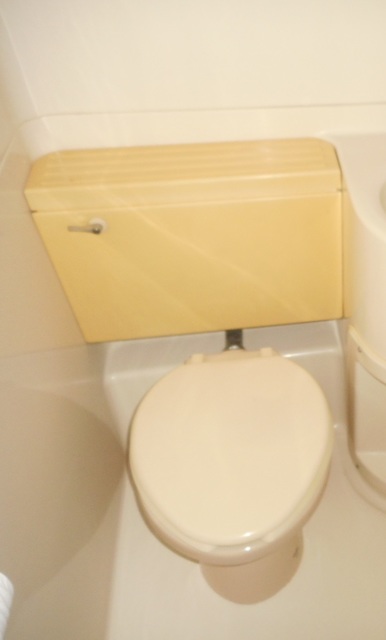 ジョイフル目黒洗足0508号室 トイレ