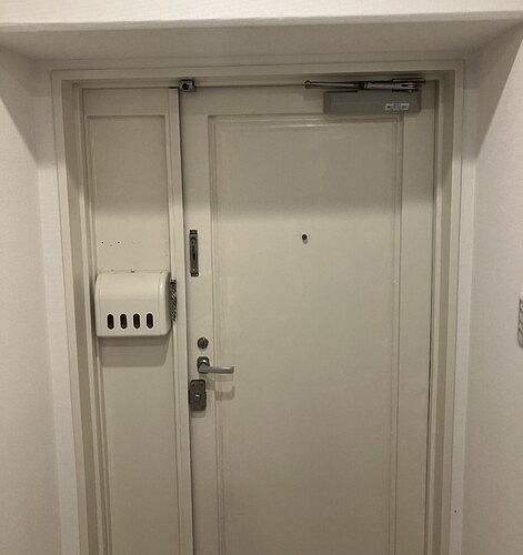 ソフトタウンニュー谷津遊園1階 玄関　内装後