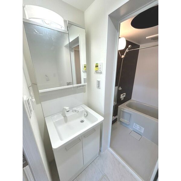 Ambition袋山103号室 洗面