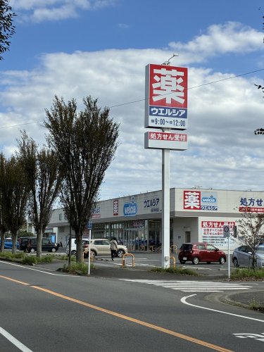 我孫子市新木野1丁目戸建て 【ドラッグストア】ウエルシア我孫子新木駅前店まで992ｍ
