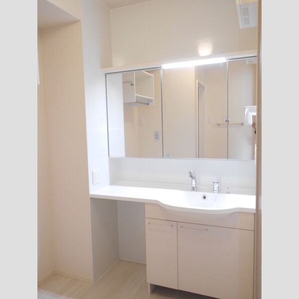 ブルームーン　A101号室 洗面