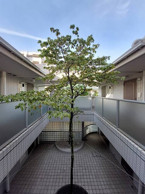 セルベコート野方1階 その他