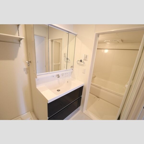 ミレニアセジュール熊谷301号室 洗髪洗面化粧台
