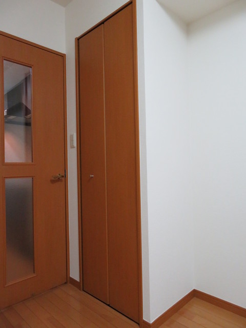 グランド・ガーラ芝公園5階 こまごまとしたものを収納できそうですね