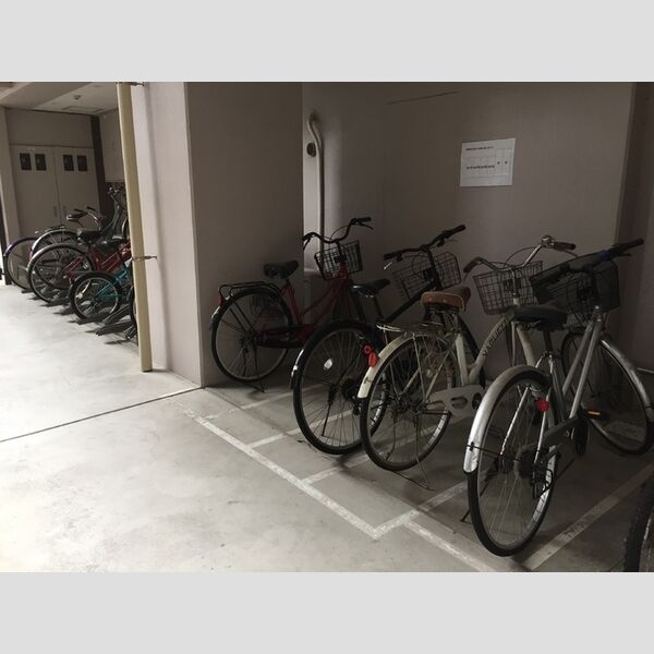 ステラ　トーレ(Stella　torre)203号室 駐輪場