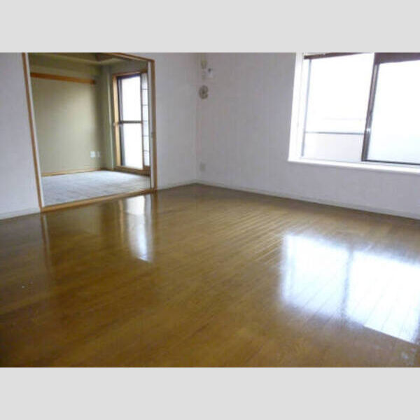 ニューパレスプロスパー 居室全景(2LDK)