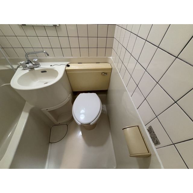 Fine吉祥寺406号室 内観