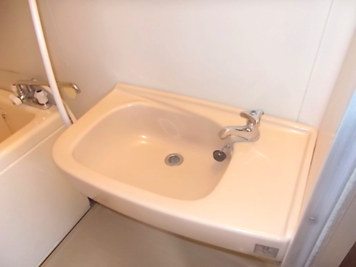 中佐津間ハイツ 洗面