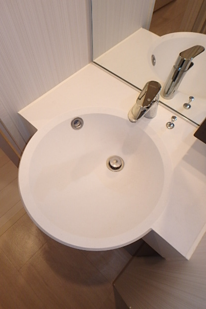 ガーラ・グランディ横濱桜木町 独立洗面あり