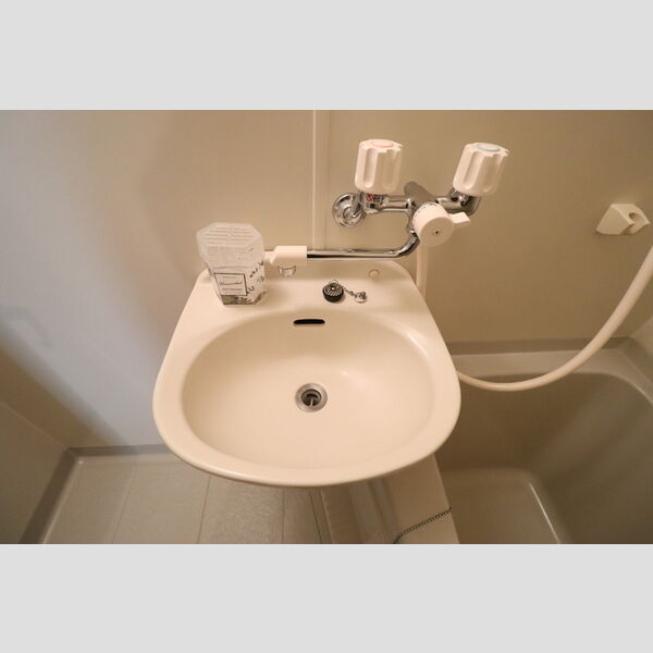 ヴァルキューレ大日 浴室洗面台