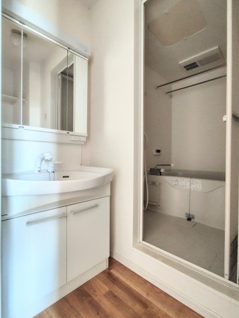 アルテリーベ0202号室 洗面