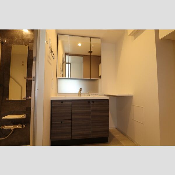 THE RejuvePort KISARAZU0704号室 洗髪洗面化粧台