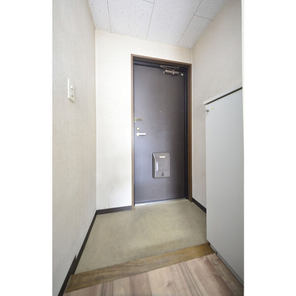 ヒルズガーデン東雪谷0301号室 玄関