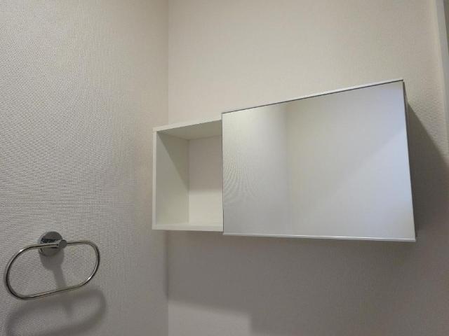 クレイン目白 トイレ戸棚（鏡付）