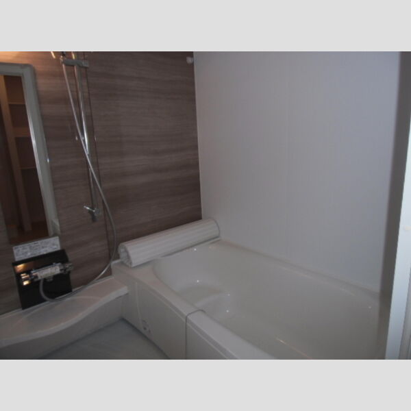 アネシス　Ⅱ 浴室