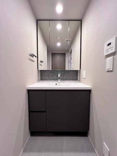 Ｂｒｉｌｌｉａ　ｉｓｔ　大井町14階 洗面