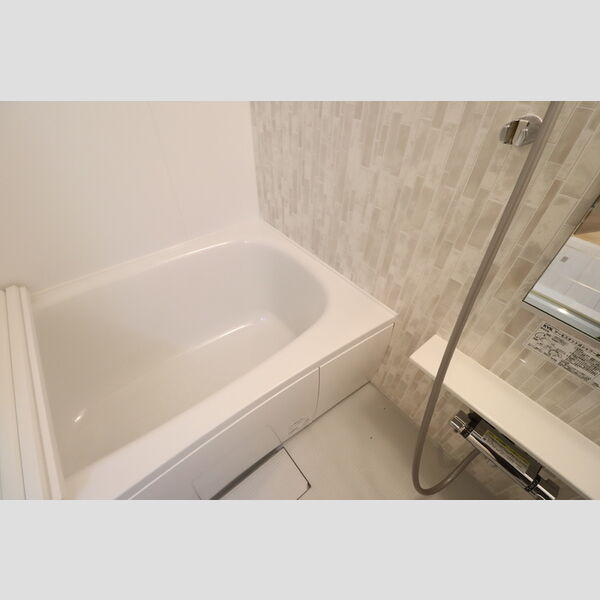 ラリュール赤塚Ⅱ301号室 バルコニー