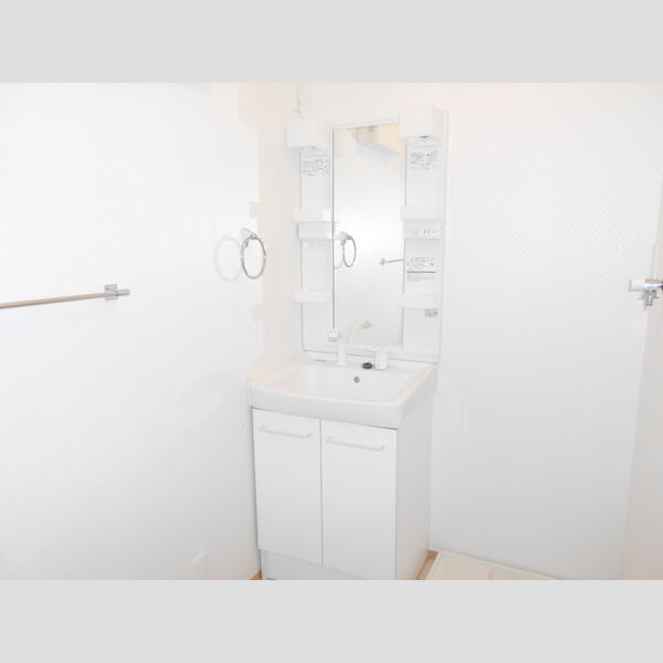 椿ヴィレッジ202号室 洗面