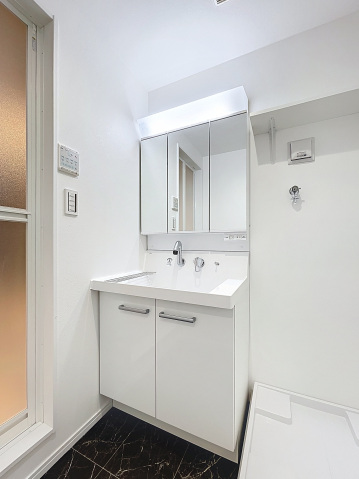 スカイルーチェ南浦和201号室 洗面