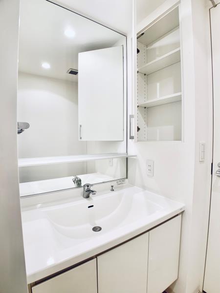 Ｂｒｉｌｌｉａ　ｉｓｔ　東雲キャナルコート13階 洗面