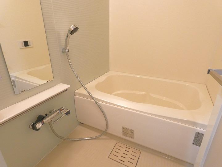 ジェノヴィア両国Ⅳスカイガーデン その他、部屋スペース