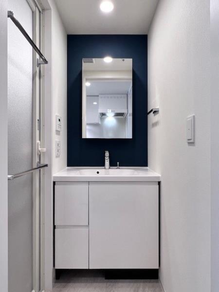 Ｂｒｉｌｌｉａ　ｉｓｔ　大井町 洗面