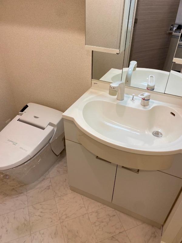 グローベル新大久保マスターズゲート 洗面