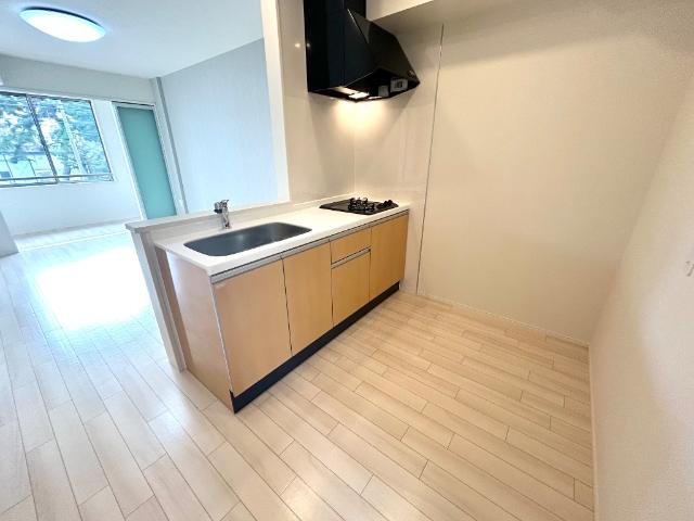 Ｓｍｉｌｅ　ｖｉｌｌａ（スマイル　ヴィラ）203号室 キッチン