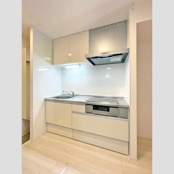 コリーヌヴェール盆栽106号室 システムキッチン