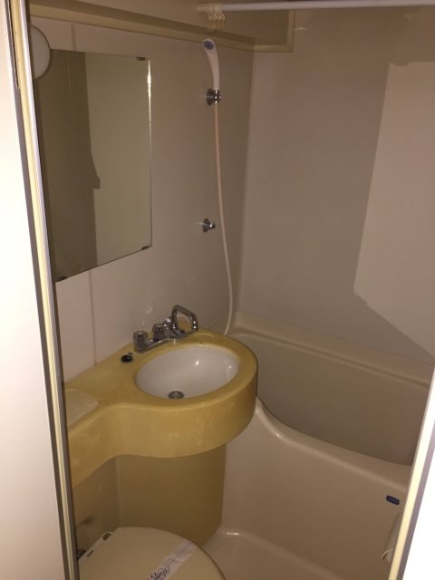 ライオンズマンション新宿東公園10階 お風呂