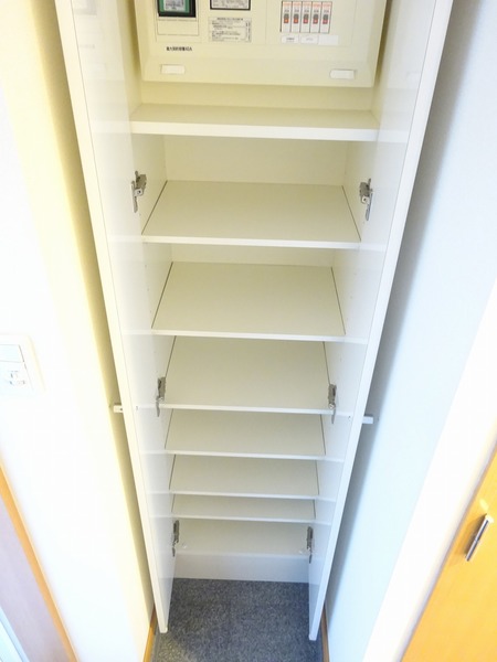 スカイコートヌーベル入谷1003号室 収納