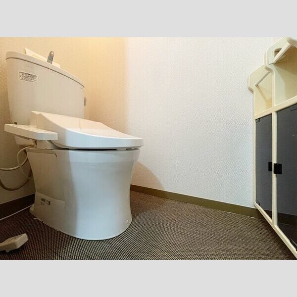 エバーグリーン　Ⅱ トイレ