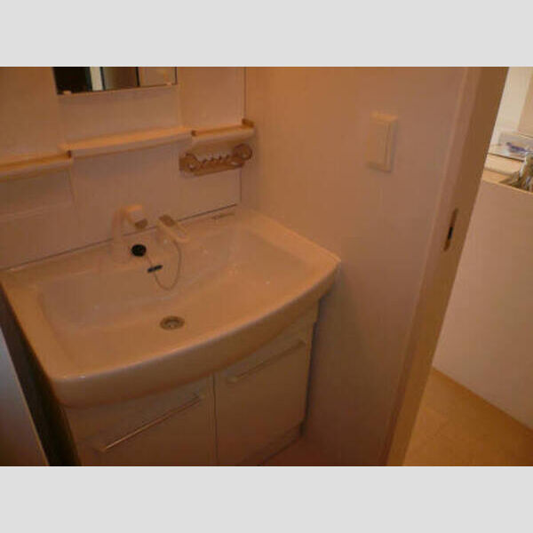 プロシード青葉台　B202号室 洗面